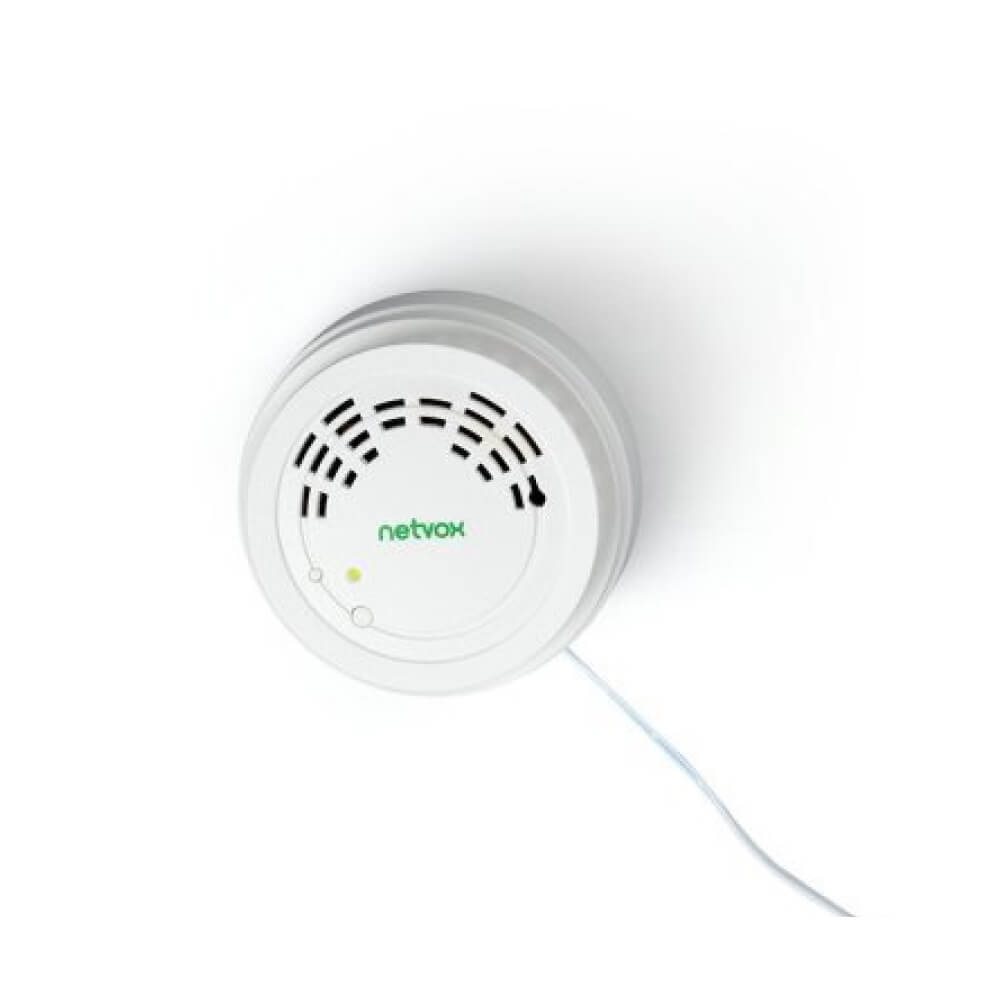Netvox RA02C wireless LoRaWAN carbon monoxide detector for smart home and industrial safety.