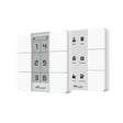 Milesight WS156 and WS136 LoRaWAN smart scene panels with 6-button control and customizable E-ink display.