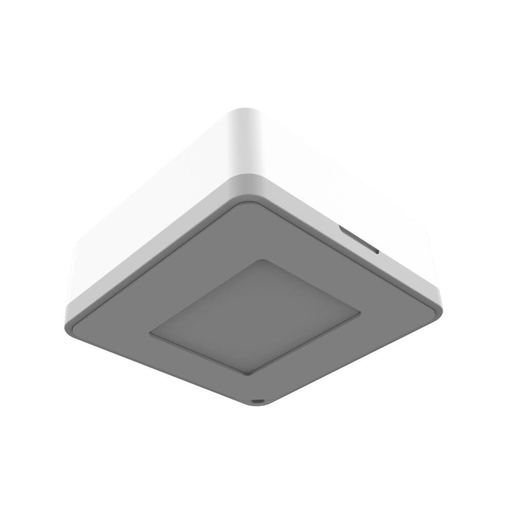 Milesight WS202 LoRaWAN PIR motion and light sensor with compact white enclosure for indoor occupancy monitoring.