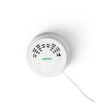 Netvox RA02C wireless LoRaWAN carbon monoxide detector for smart home and industrial safety.