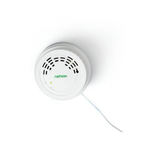 Netvox RA02C wireless LoRaWAN carbon monoxide detector for smart home and industrial safety.