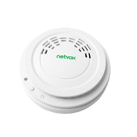 Netvox RA02C wireless LoRaWAN carbon monoxide detector for smart home and industrial safety.