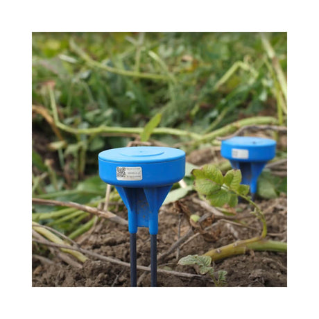 Sensoterra single depth LoRaWAN soil moisture probe for precision agriculture and smart irrigation.